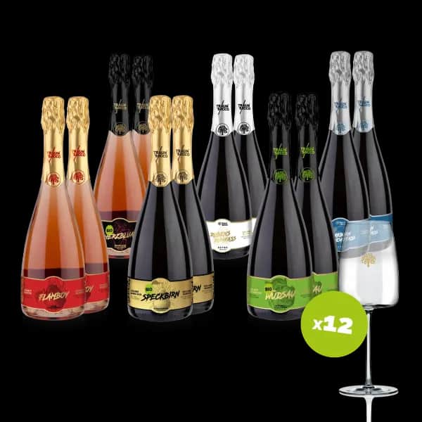 Traunsecco Sekt Schaumwein aus Österreich Party-Paket mit Schaumwein und Original Traunsecco Gläser