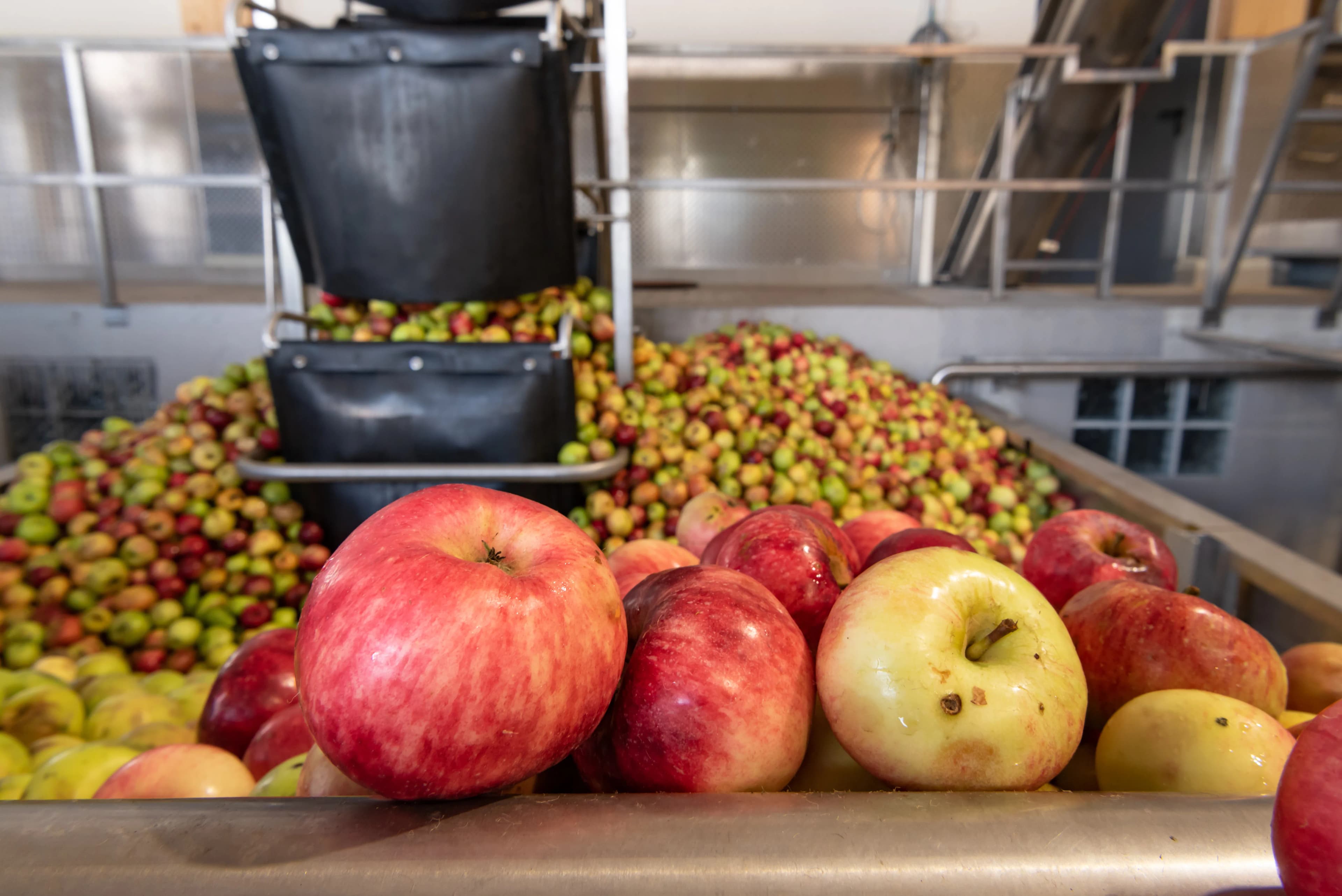 Apfelschaumwein aus Oberösterreich – fruchtiger Genuss aus nachhaltig bewirtschafteten Streuobstwiesen 3